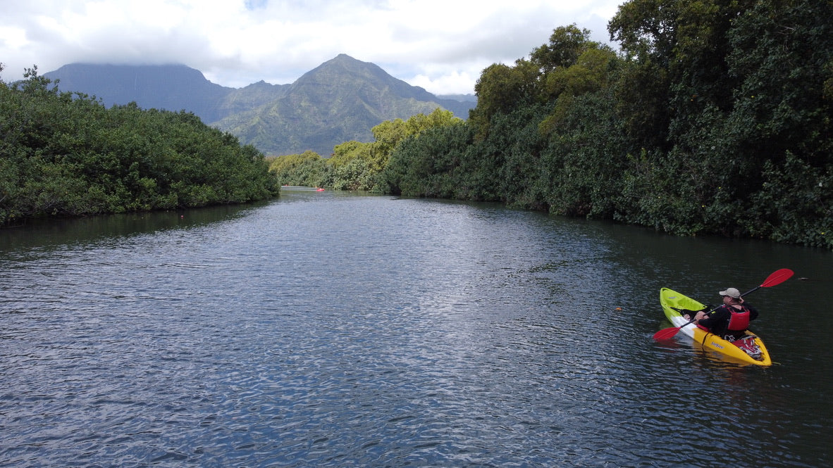 Hanalei River (4-Hour Kayak Rental)