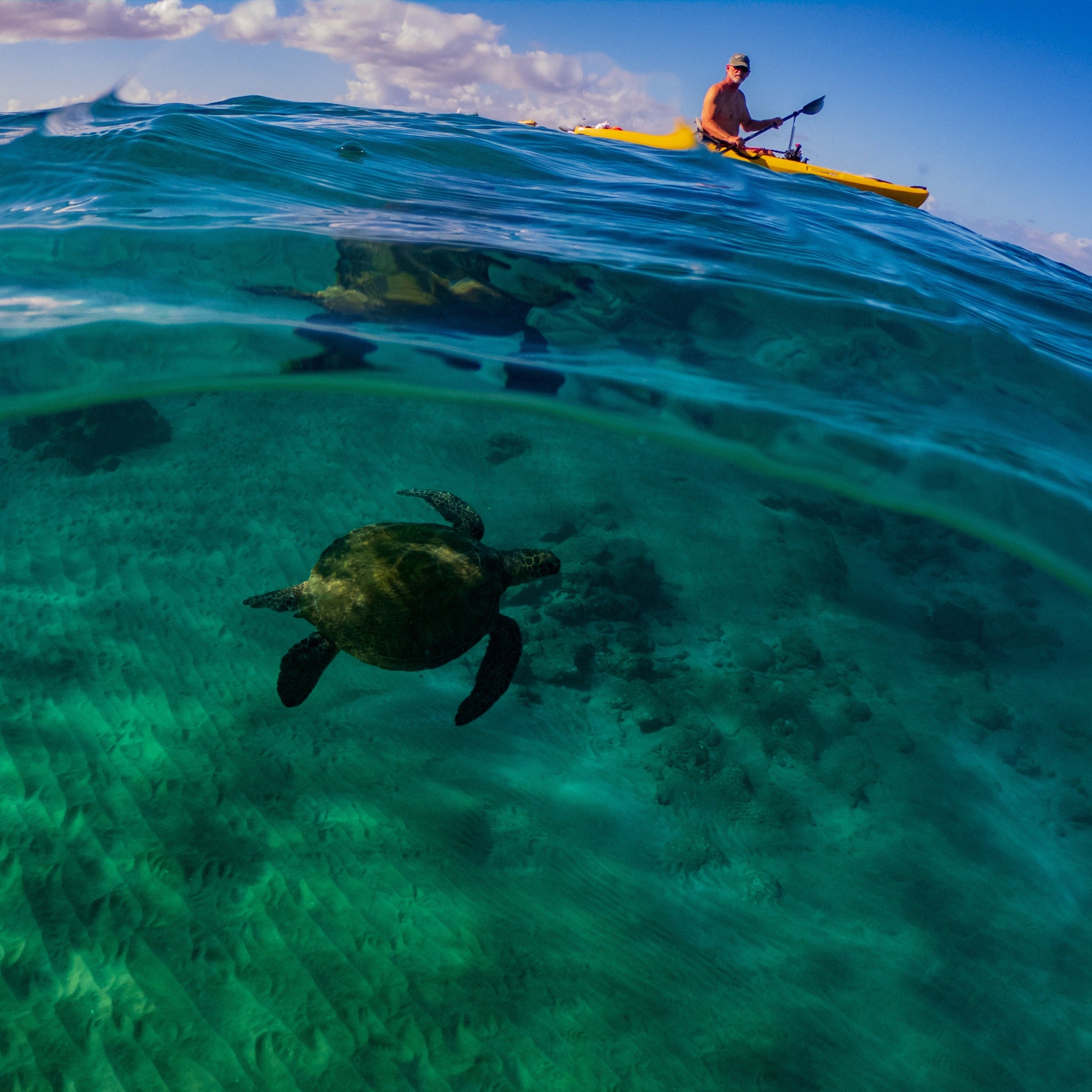 Maui 4-Hour Single Kayak