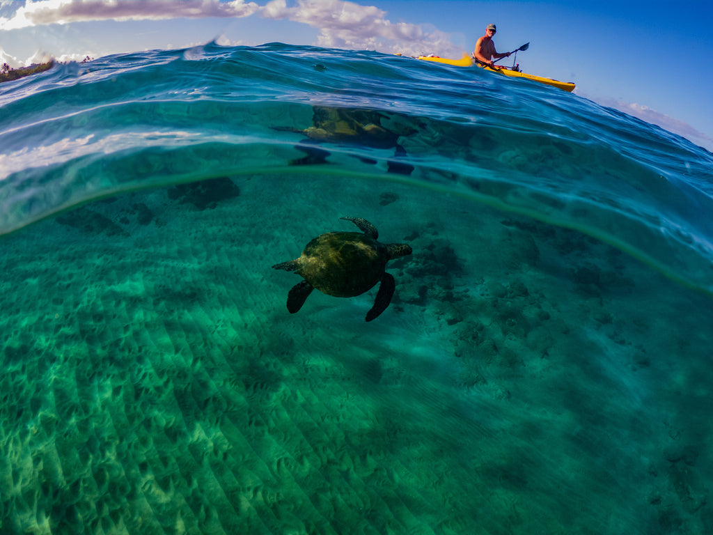 Kauai Multi-Day Tandem Kayak Rental