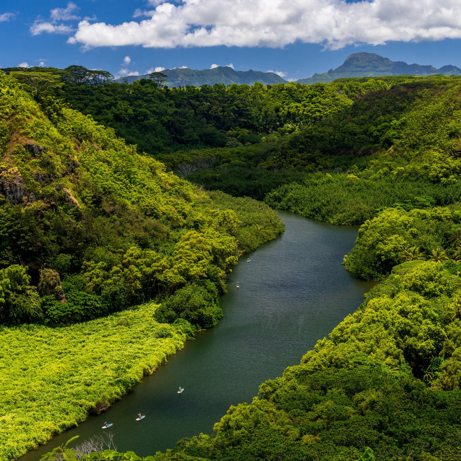 Paddle Board Rental Wailua River