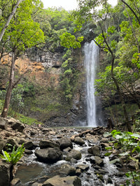 Kauai Tandem Kayak Rental - Wailua River