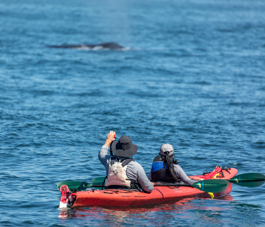 Maui Multi-Day Tandem Kayak